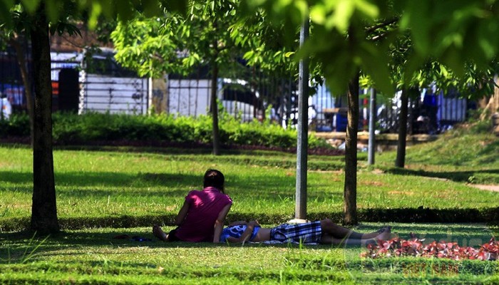 Ở công viên Nghĩa Đô có ít cây xanh hơn công viên Bách Thảo nhưng cũng có nhiều bạn trẻ đến... ngủ trưa
